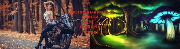 apvp Зерноград